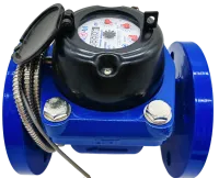 IMG_20250919_135333-no-bg-preview (carve.photos) 1