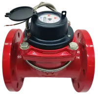 IMG_20251021_125616-no-bg-preview (carve.photos) 1