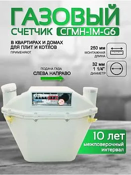 Счетчик газа СГМН-1М-G6 250 левый г. Новогрудок