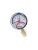 Термоманометр Экомера МД04-80мм 0..1,6МПа 0..160С G1/4 L=40 mm с переходником на G1/2