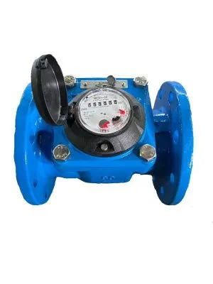 Счетчик воды ВСХН 80 IP68