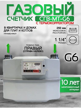 Счетчик газа СГВ-МТ-G6 RL